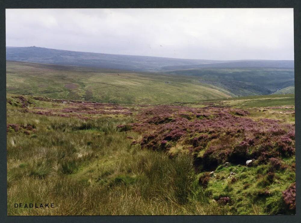 An image from the Dartmoor Trust Archive