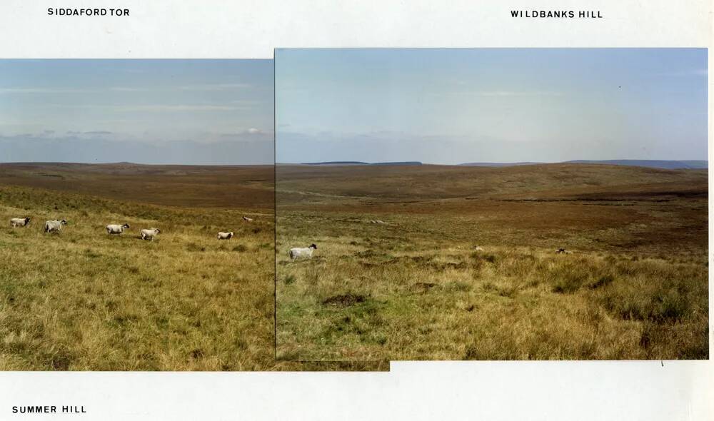 An image from the Dartmoor Trust Archive