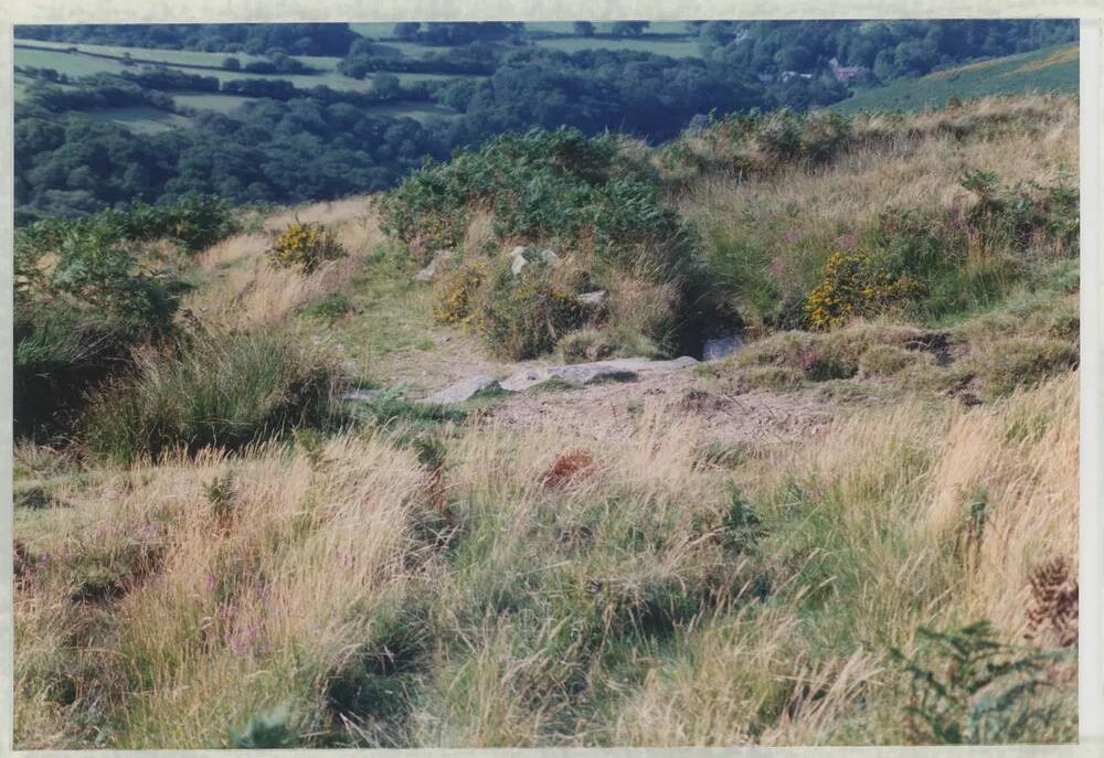 An image from the Dartmoor Trust Archive