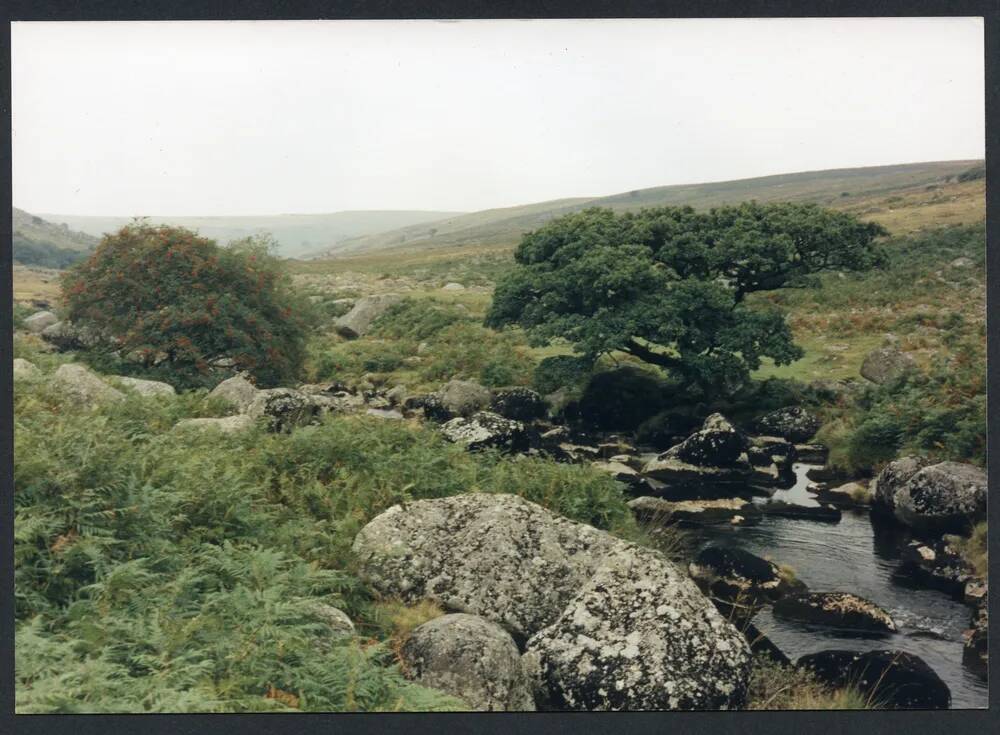 An image from the Dartmoor Trust Archive