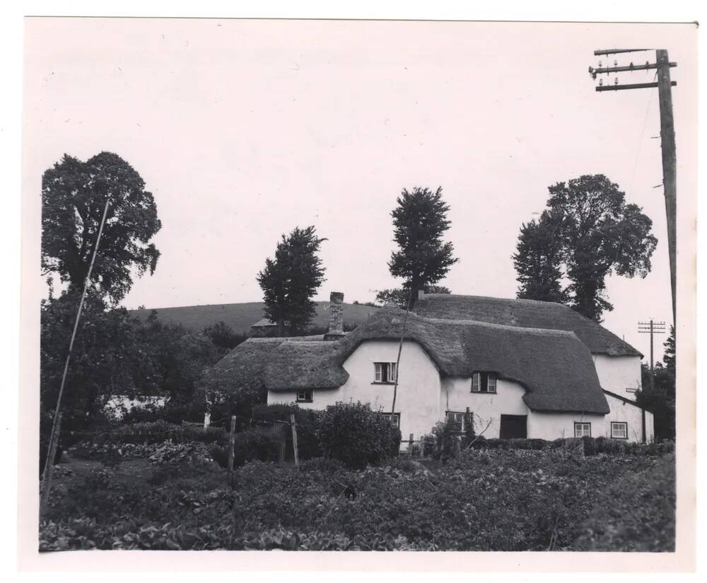 An image from the Dartmoor Trust Archive