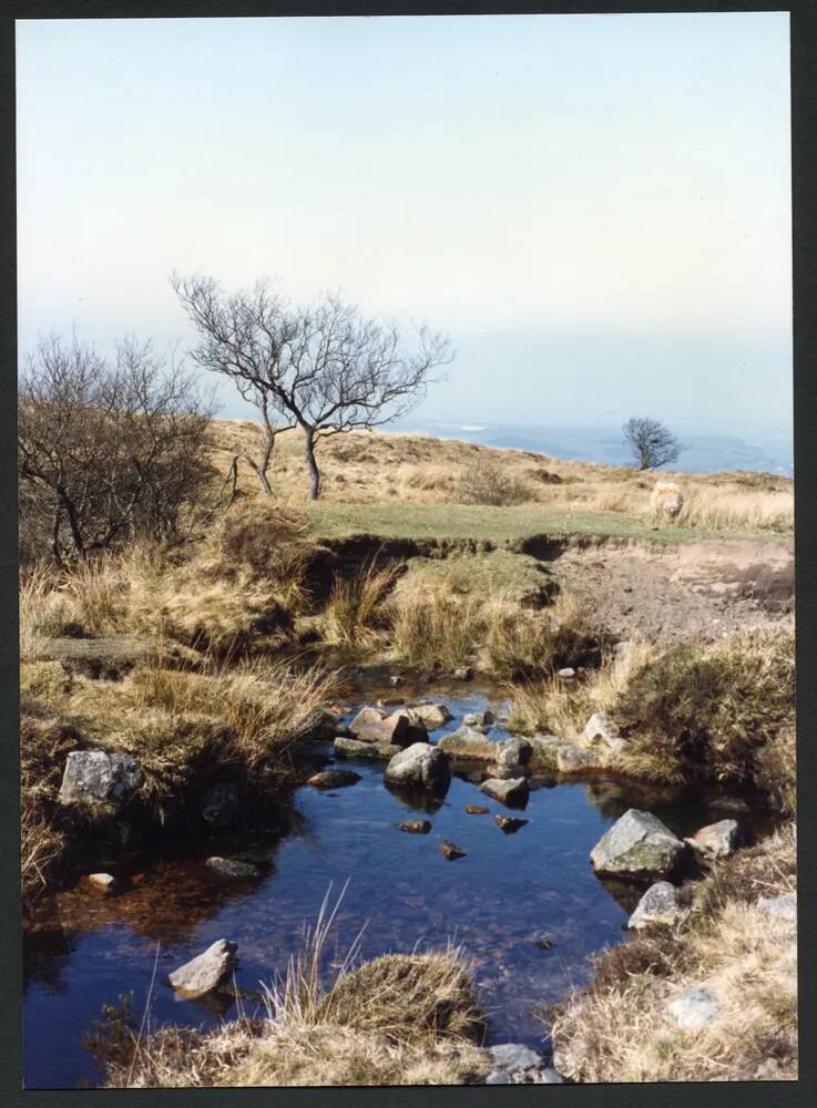 An image from the Dartmoor Trust Archive