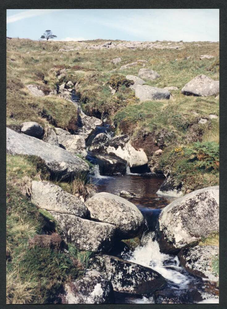 An image from the Dartmoor Trust Archive