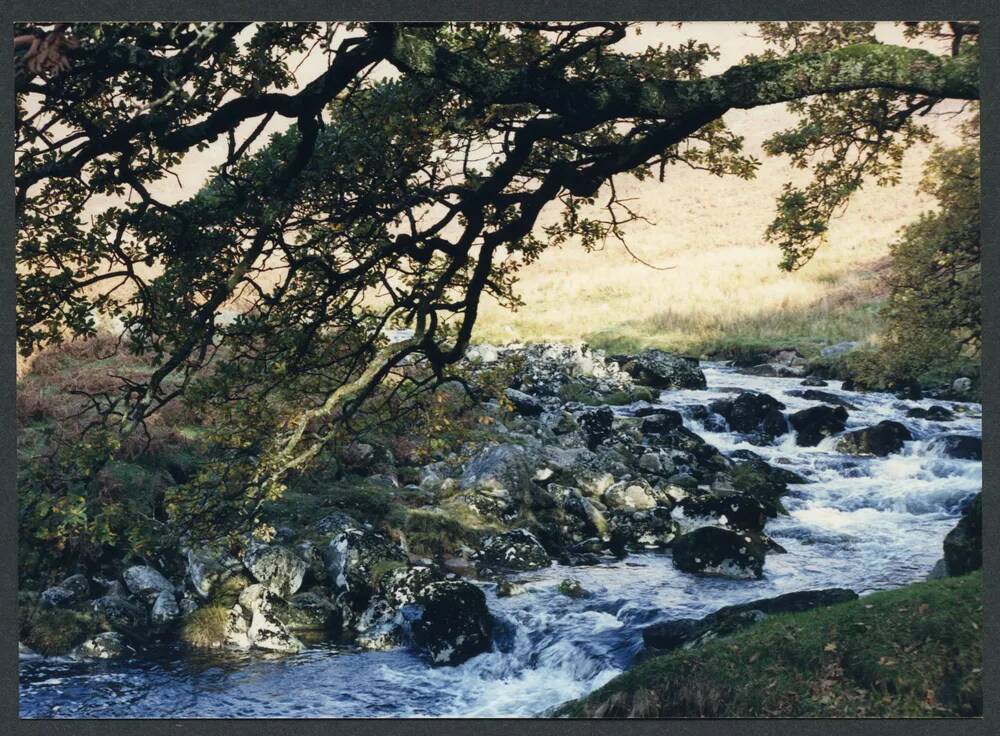 An image from the Dartmoor Trust Archive