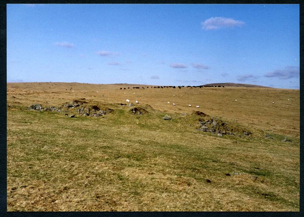 An image from the Dartmoor Trust Archive