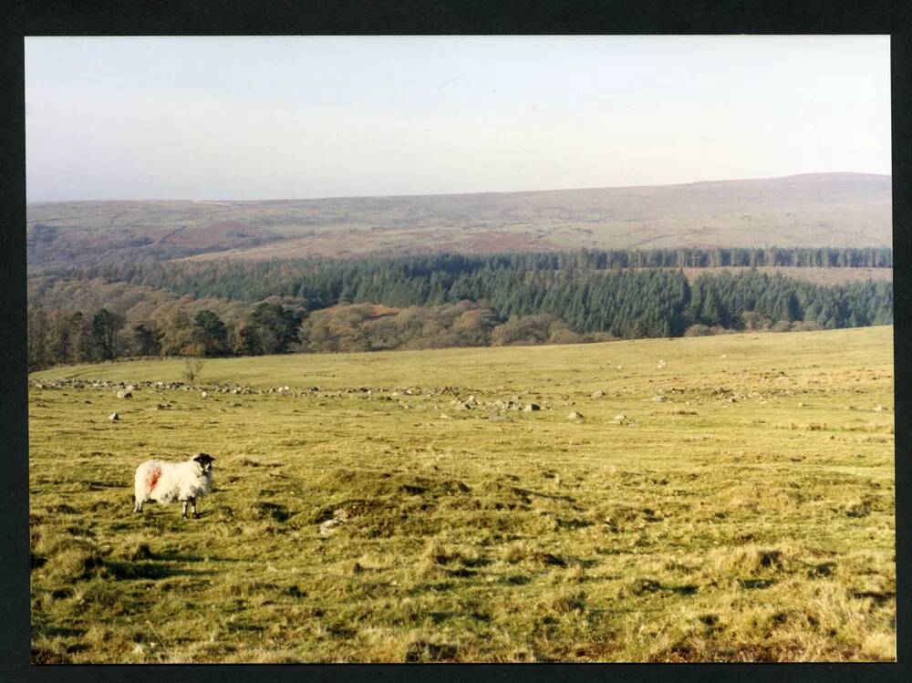 An image from the Dartmoor Trust Archive