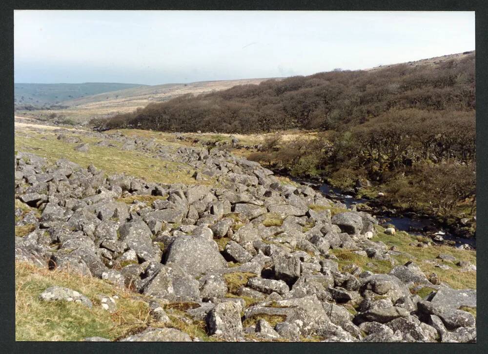 An image from the Dartmoor Trust Archive