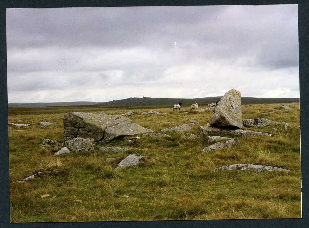 An image from the Dartmoor Trust Archive