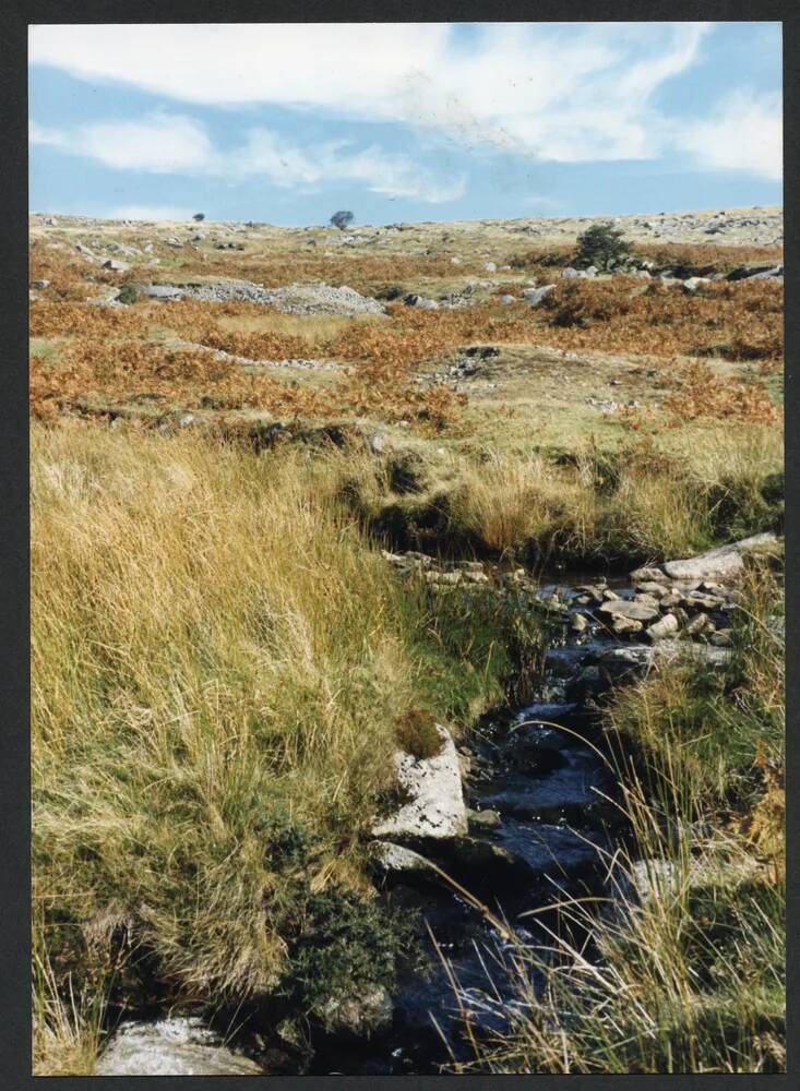 An image from the Dartmoor Trust Archive