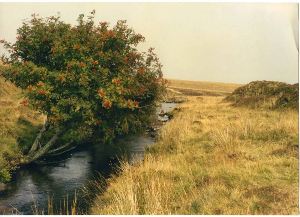 An image from the Dartmoor Trust Archive