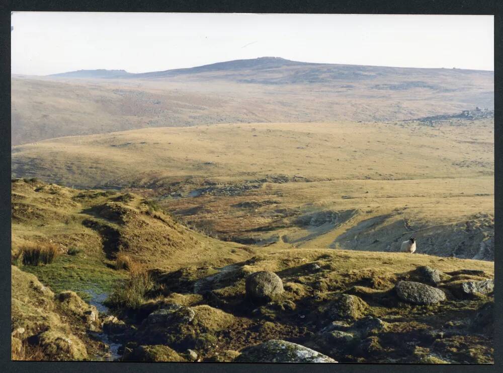 An image from the Dartmoor Trust Archive