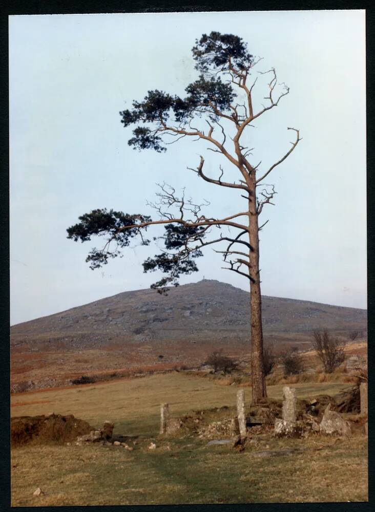 An image from the Dartmoor Trust Archive