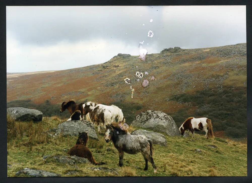 An image from the Dartmoor Trust Archive