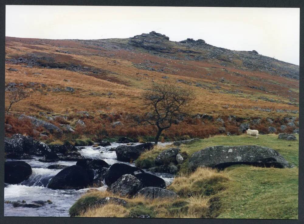 An image from the Dartmoor Trust Archive