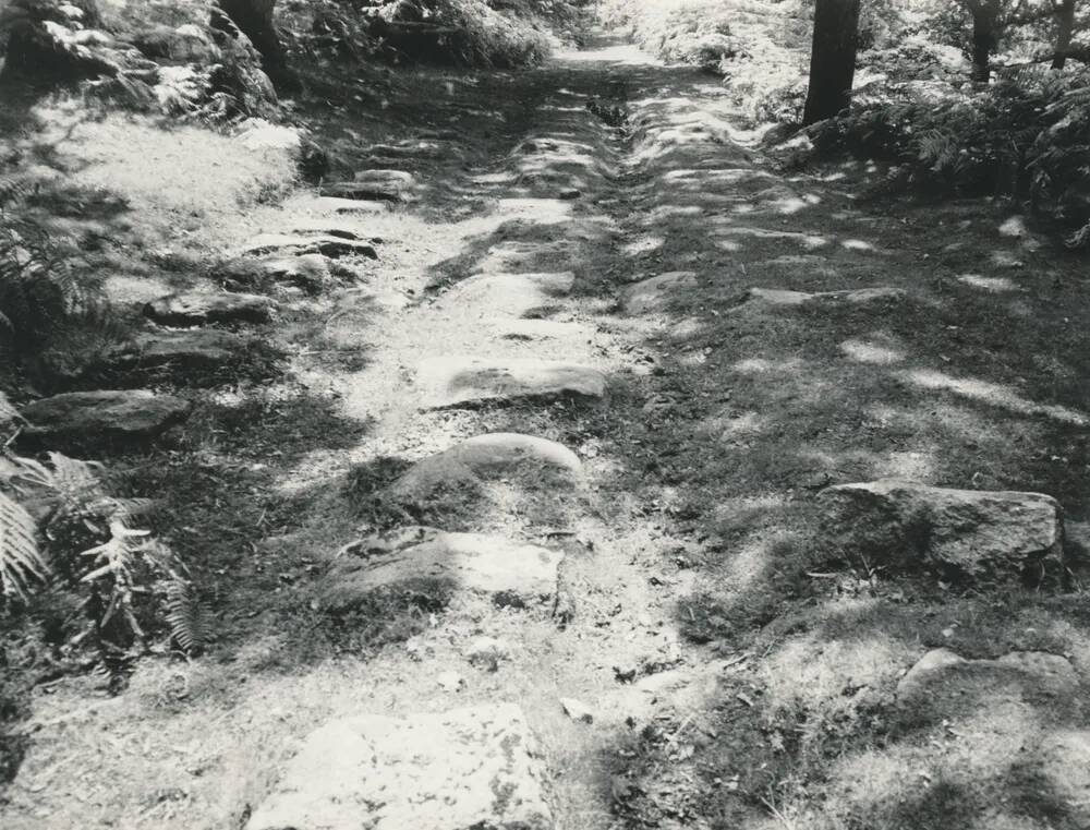 Granite sleeprs on the incline plane leading up to the Dewer stone