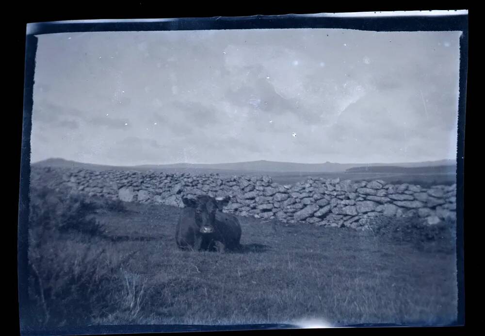 An image from the Dartmoor Trust Archive