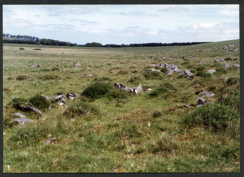 An image from the Dartmoor Trust Archive