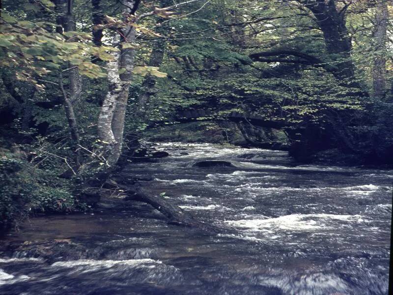 An image from the Dartmoor Trust Archive