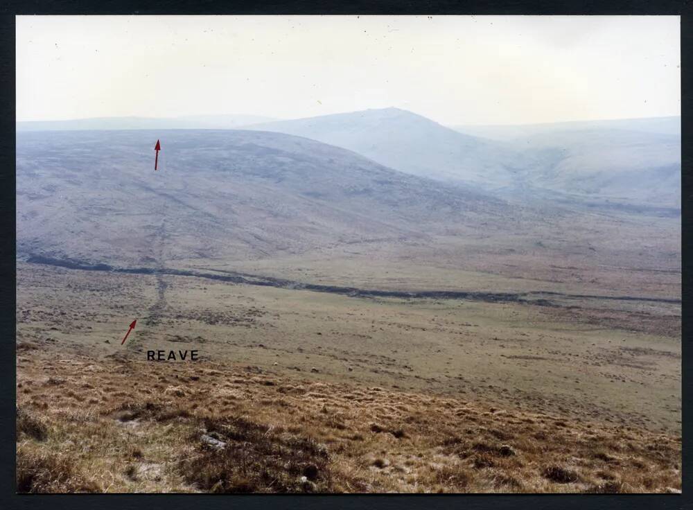 An image from the Dartmoor Trust Archive