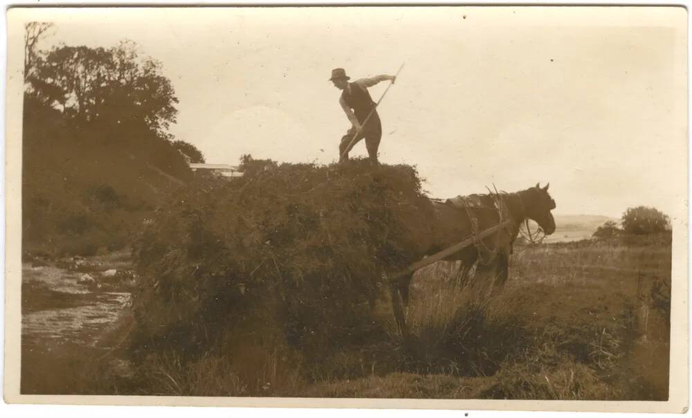 An image from the Dartmoor Trust Archive