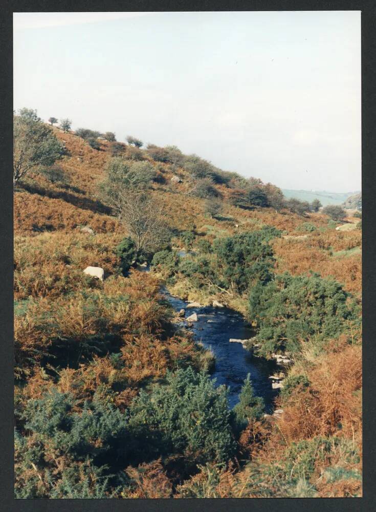 An image from the Dartmoor Trust Archive