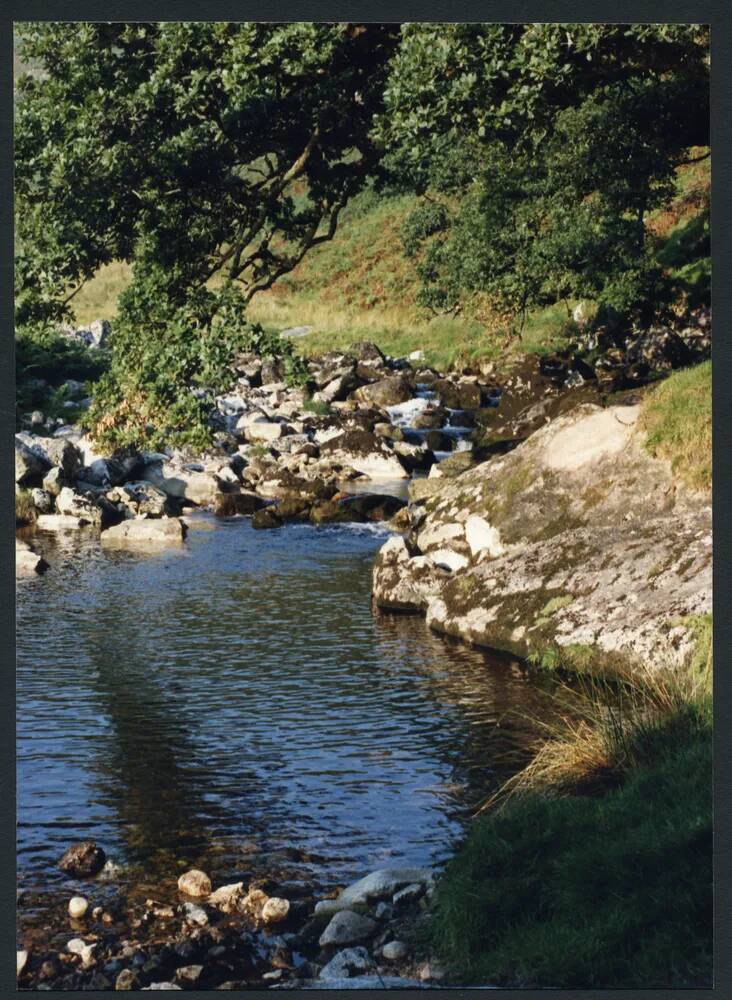 An image from the Dartmoor Trust Archive