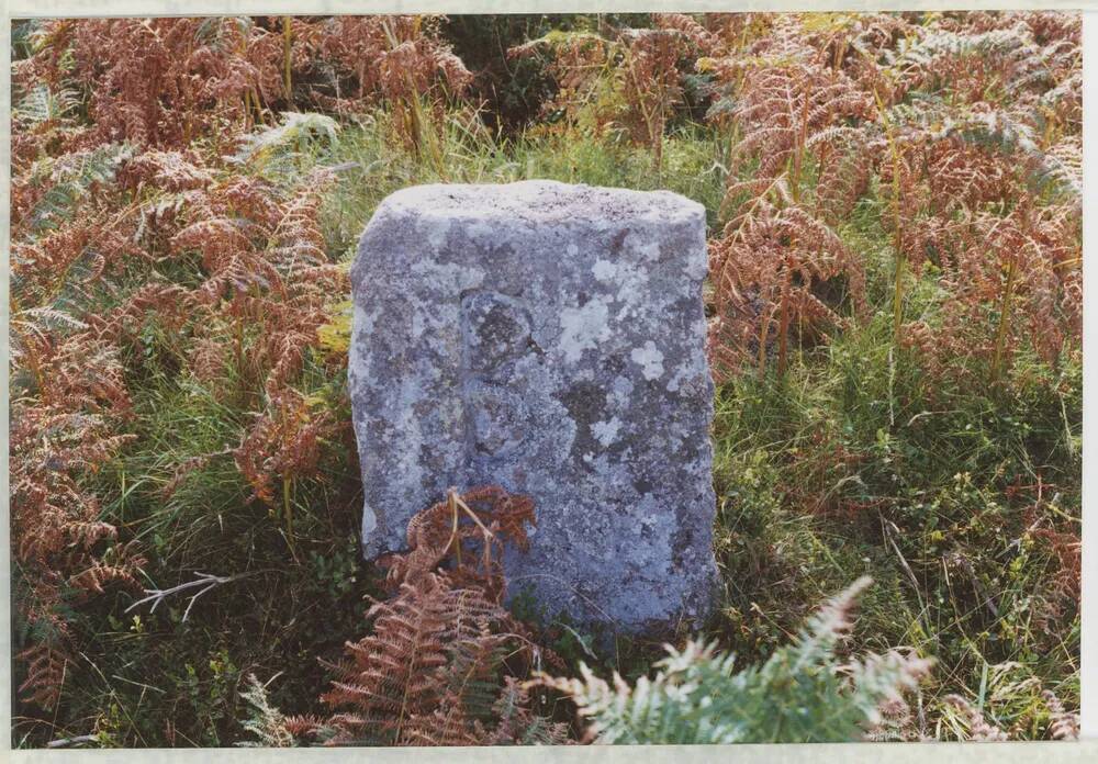 An image from the Dartmoor Trust Archive