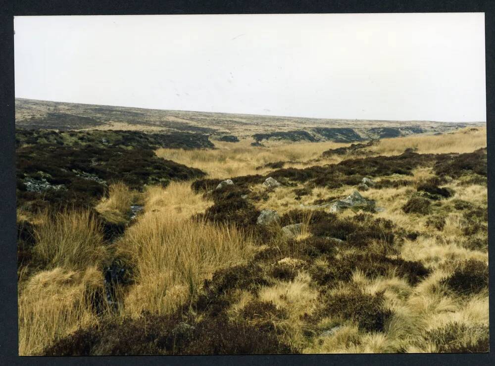 An image from the Dartmoor Trust Archive