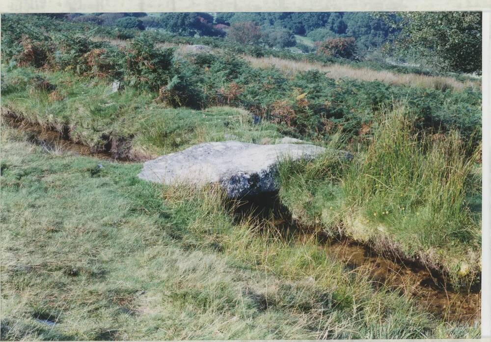 An image from the Dartmoor Trust Archive