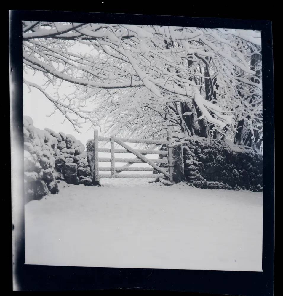 An image from the Dartmoor Trust Archive