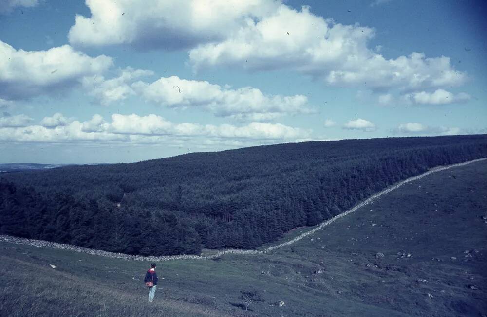 An image from the Dartmoor Trust Archive