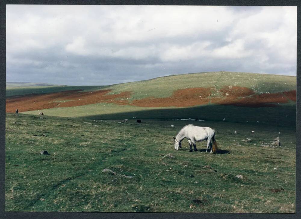 An image from the Dartmoor Trust Archive