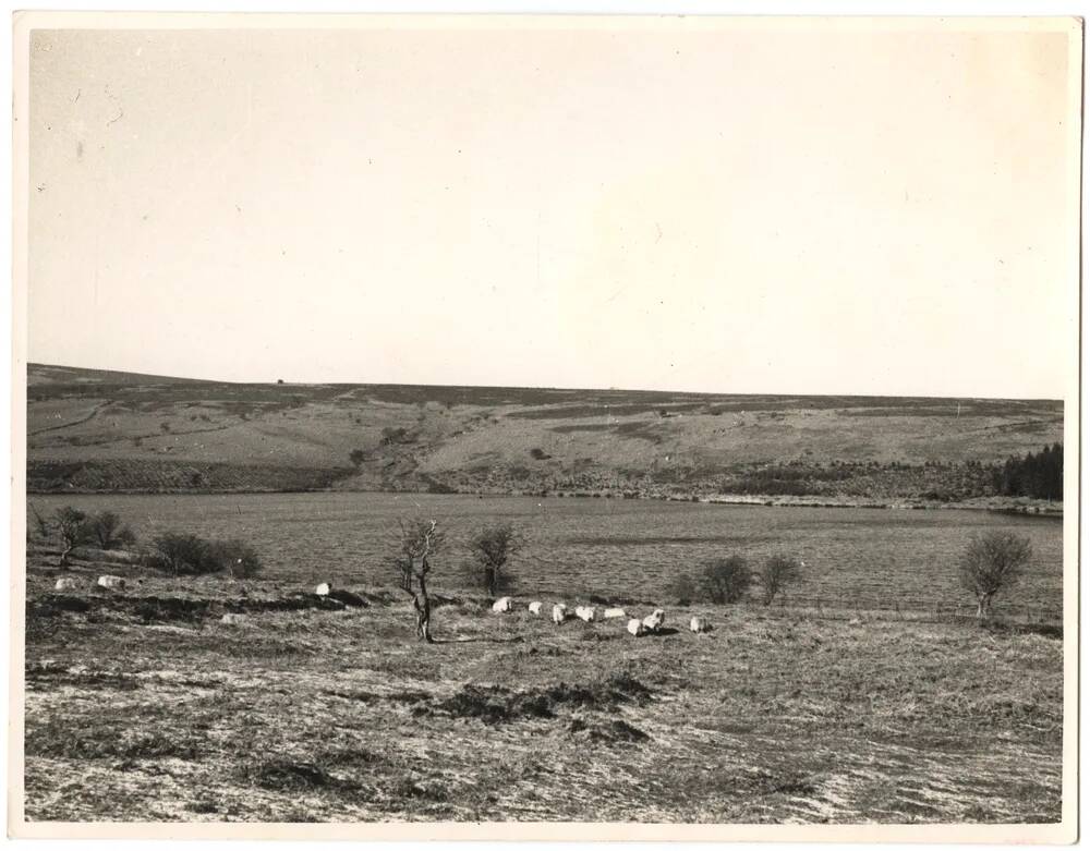 An image from the Dartmoor Trust Archive