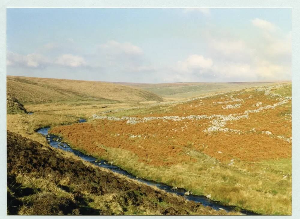 An image from the Dartmoor Trust Archive