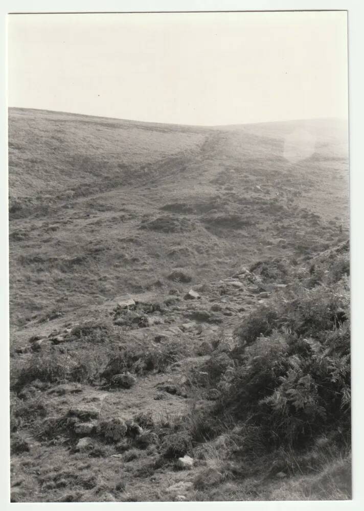 An image from the Dartmoor Trust Archive