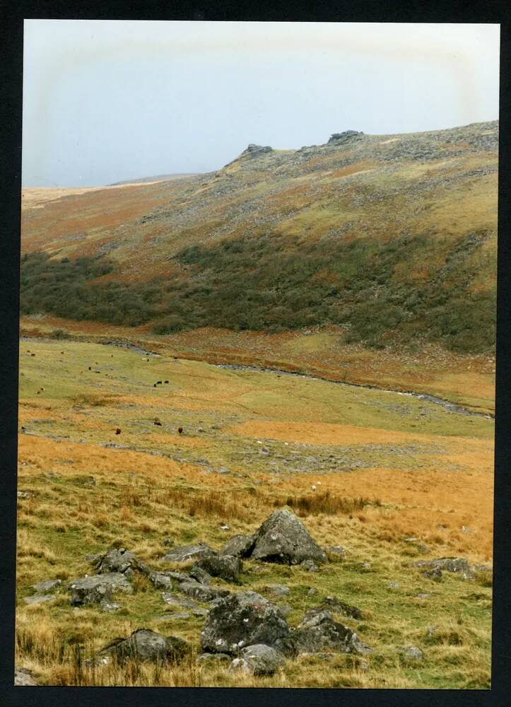 An image from the Dartmoor Trust Archive