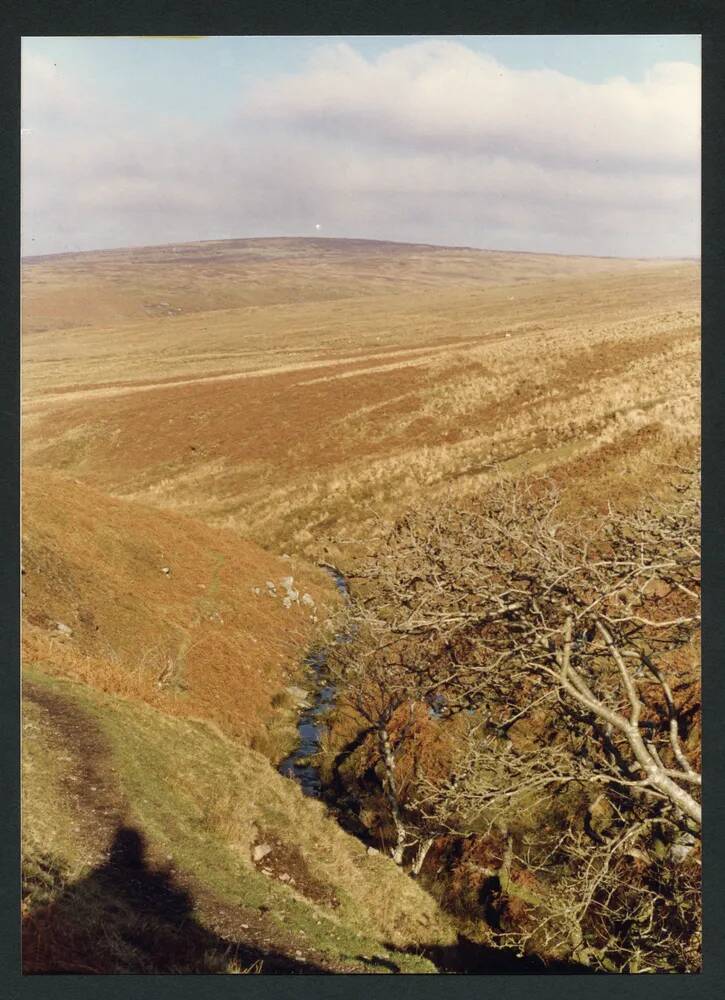 An image from the Dartmoor Trust Archive