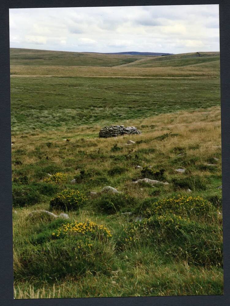 An image from the Dartmoor Trust Archive