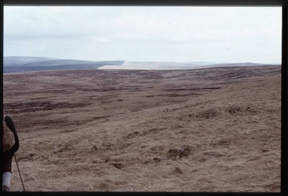 Walla Brook Head