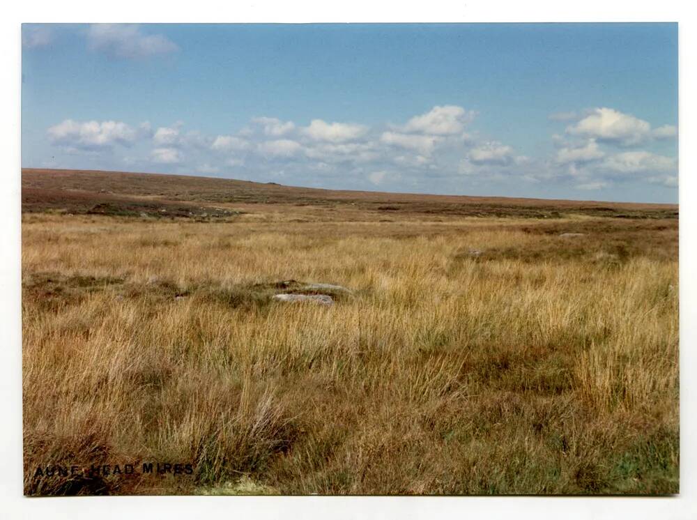 9/59 Aune Head Mires 13/9/1991