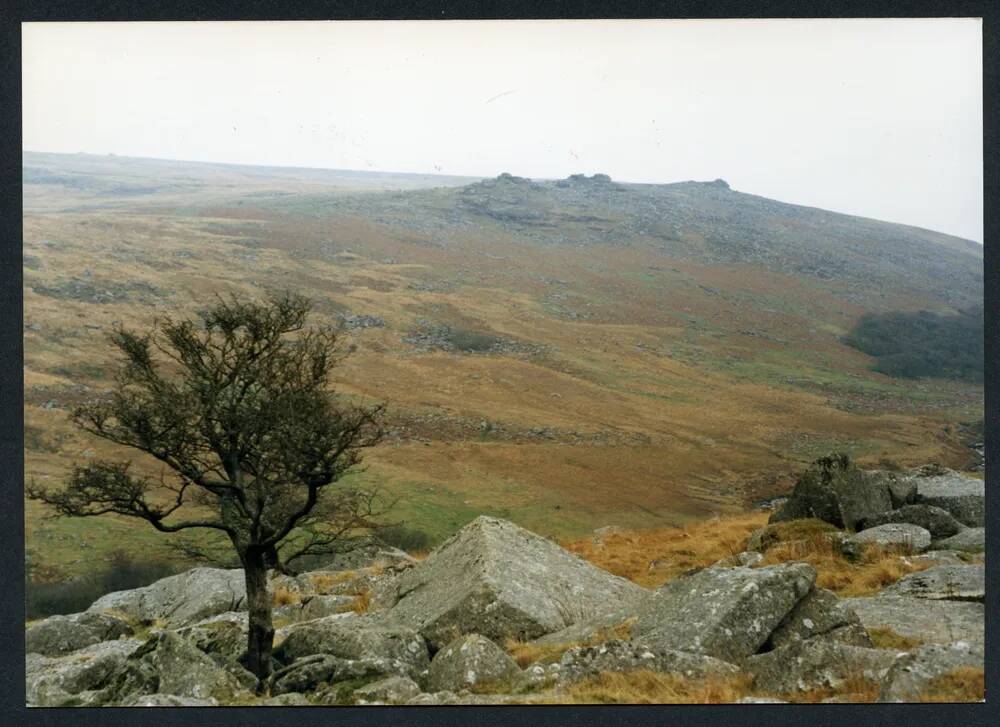 An image from the Dartmoor Trust Archive