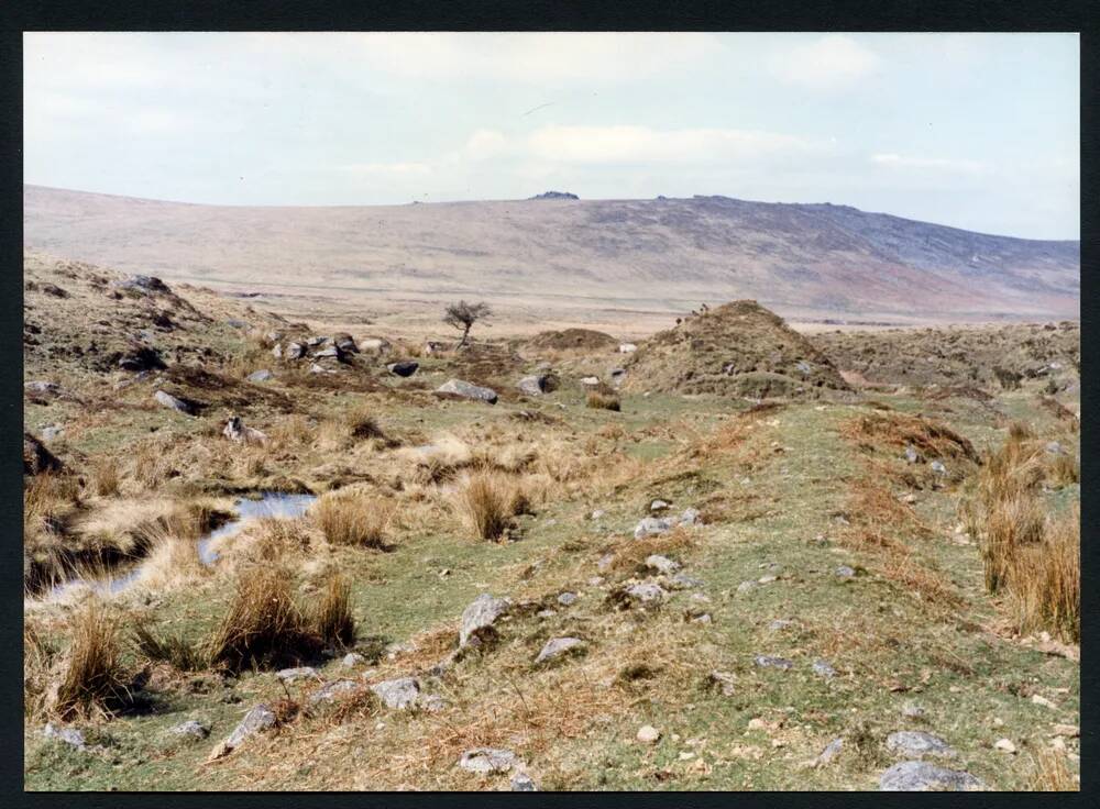 An image from the Dartmoor Trust Archive