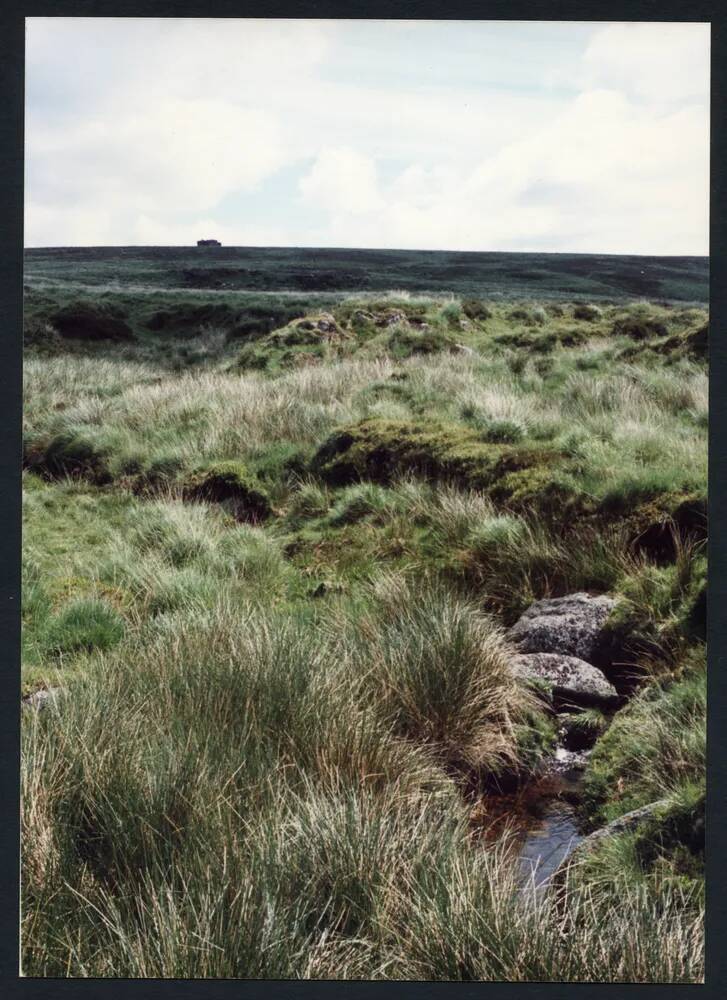 22/55 Near Source of Hart Tor brook 29/6/1991