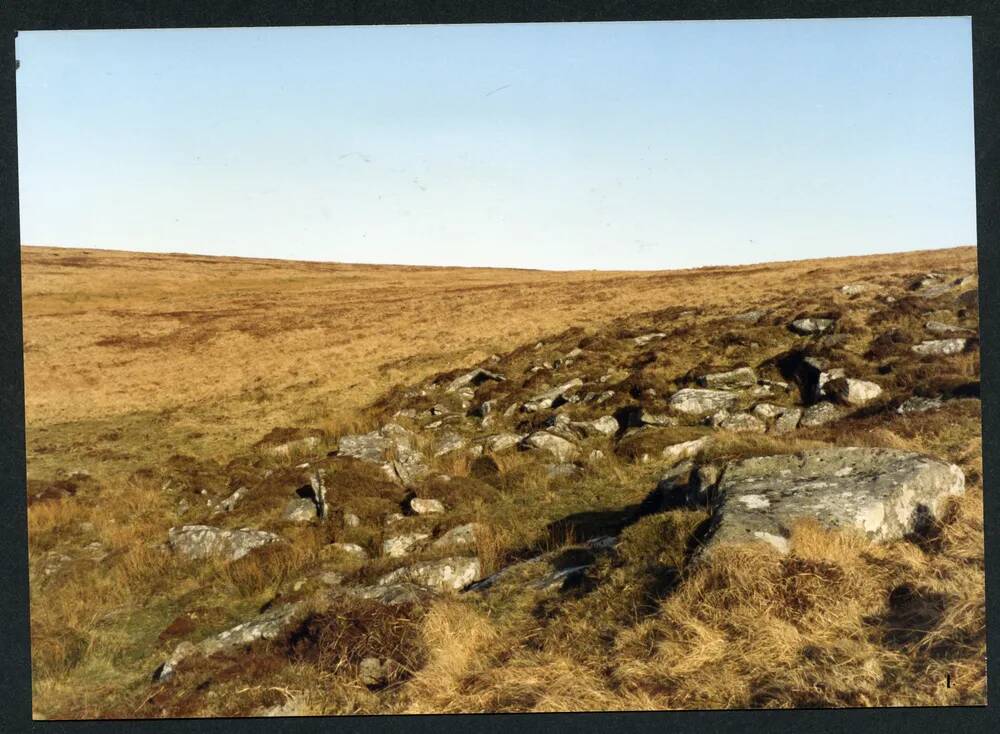 An image from the Dartmoor Trust Archive