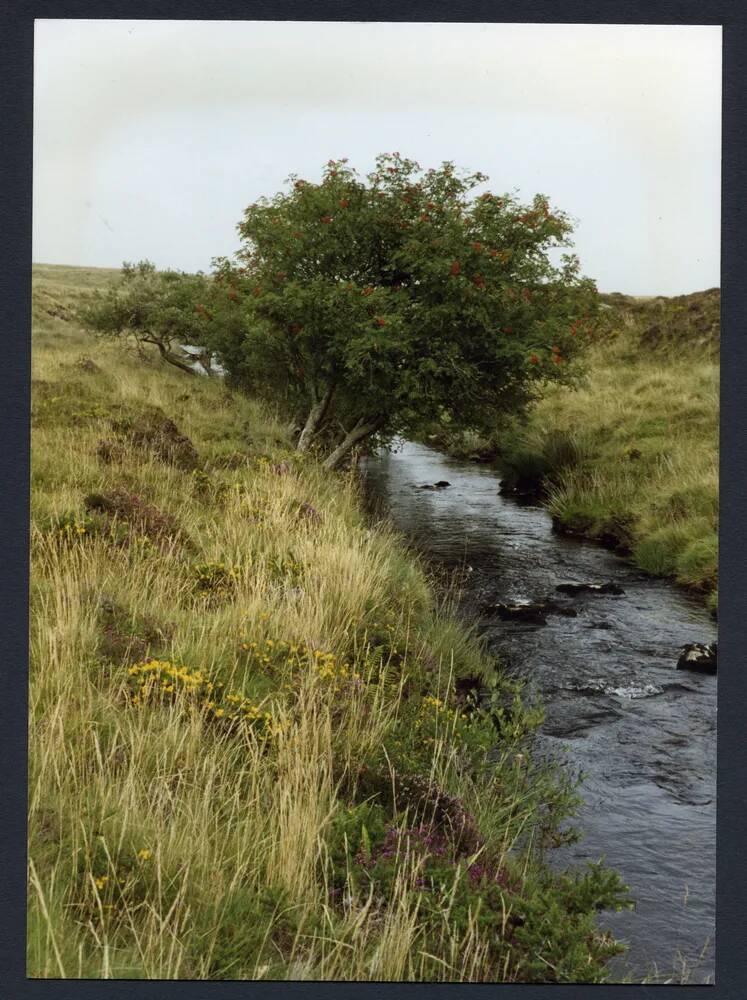 An image from the Dartmoor Trust Archive