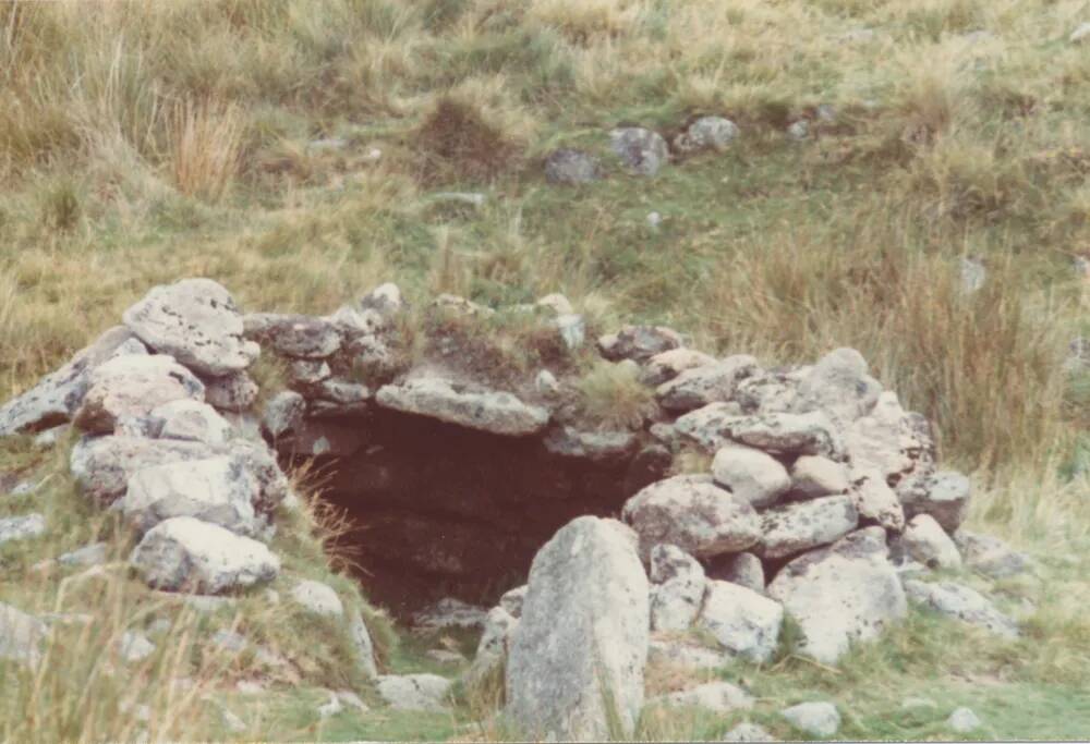 Beehive hut near East Dart