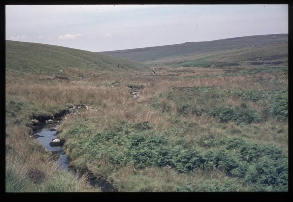 Langcombe Brook Confluence