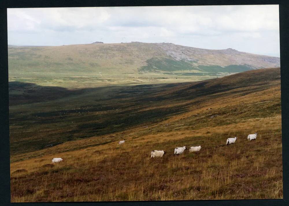 An image from the Dartmoor Trust Archive