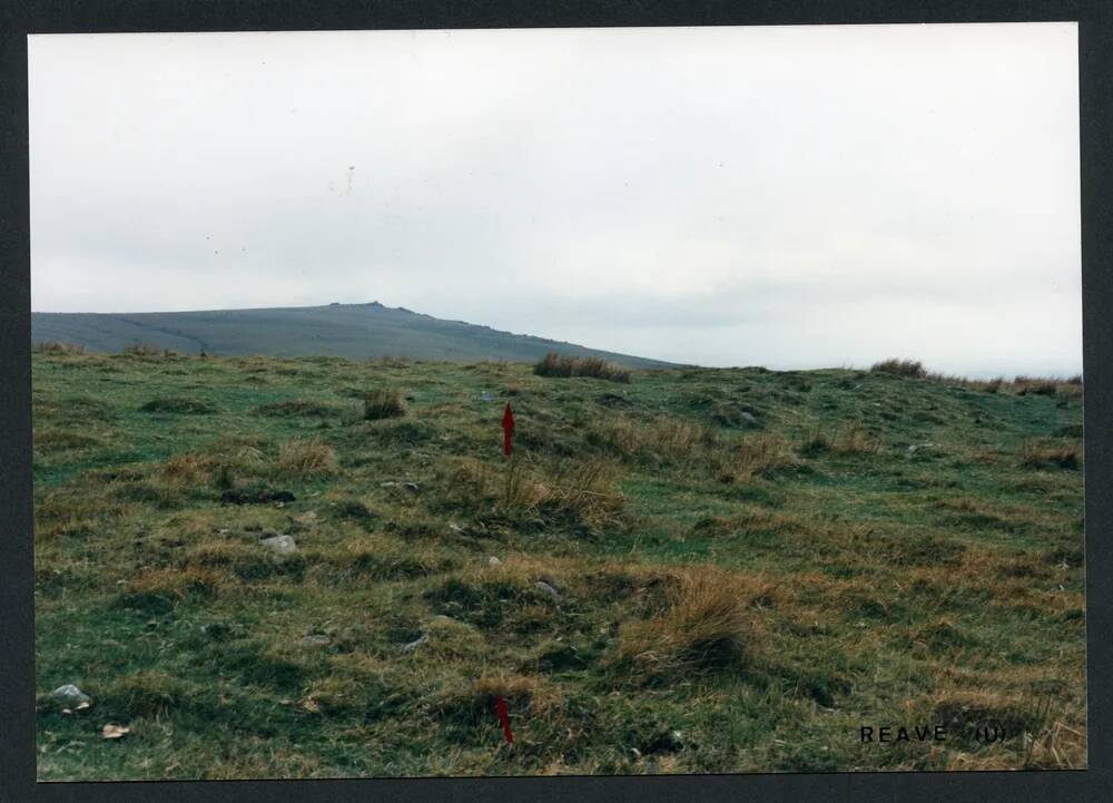 An image from the Dartmoor Trust Archive