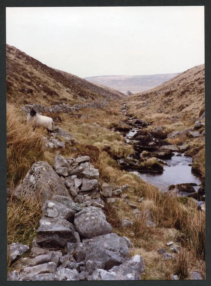 An image from the Dartmoor Trust Archive